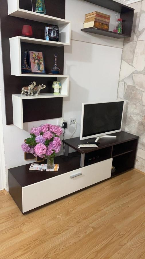 Alisa Sea View Apartment Prcanj Kotor Eksteriør billede